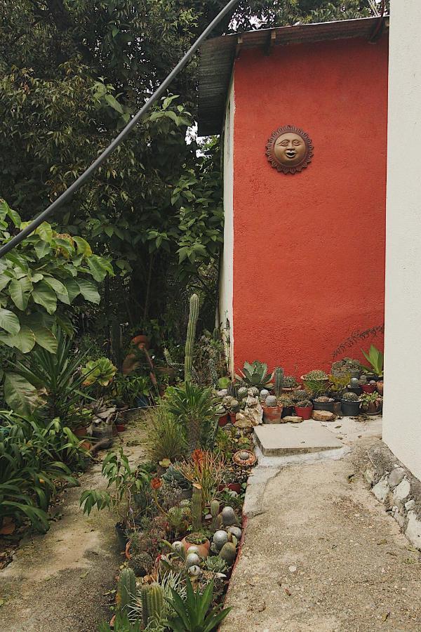 Cabana Campestre En Oaxaca Exterior photo